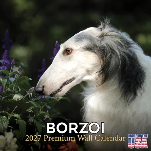 Vista 79 de Calendario de Lebrel Afgano 2025 2026, calendario mensual de pared de raza canina, 12" x 18" abierto, papel grueso sin traspaso, ideal para regalo
