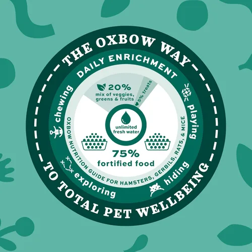 Vista 7 de Oxbow Animal Health Garden Select - Alimento para ratas adultos, receta inspirada en el jardín para ratas adultas, sin OMG, fabricado en los Estados