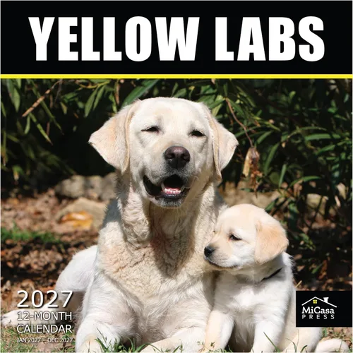 Vista 18 de MICASA PRESS Calendario de pared de Australian Shepherds Aussies 2027 02 - Pastores australianos