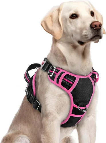 Vista 23 de Rabbitgoo - Arnés para perro de tamaño pequeño, sin tirones, 3 hebillas, fácil de poner y quitar Negro