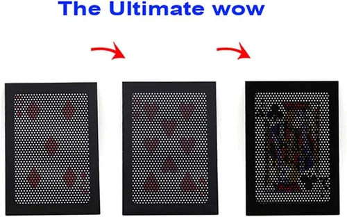 Vista 5 de Enjoyer Tarjetas mágicas: el último Wow 3.0 Trucos de magia cambian dos veces, truco mágico de primer plano (5 unidades)