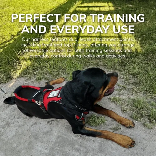 Vista 5 de ActiveDogs - Arnés para perro de servicio, ajustable, sin tirones, para perros pequeños, con parche para perro de servicio, asa, ventana