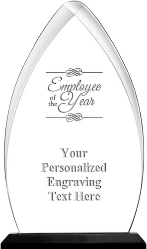 Vista 26 de Crown Awards Premio acrílico personalizado de 9.25 pulgadas de Gateway Skyline
