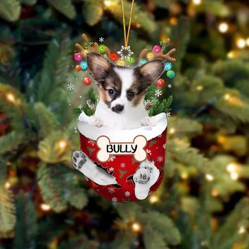 Vista 207 de IZI POD Affenpinscher Adorno de Navidad personalizado para perro, adorno de bolsillo de nieve para perro para árbol de Navidad, adorno acrílico