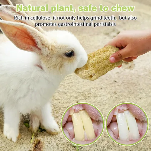 Vista 7 de BNOSDM Juguetes masticables de conejo, esponja natural, 6 piezas de dientes de conejo, juguete para moler conejo, golosinas ricas en fibra