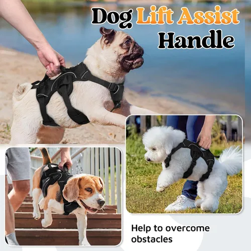 Vista 3 de rabbitgoo - Arnés para perros a prueba de fugas, arnés para mascotas acolchado y suave de cuerpo completo, arnés reflectante ajustable sin tirones