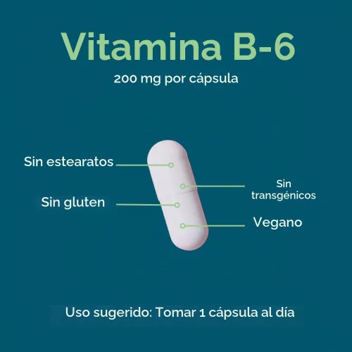 Vista 5 de BESTVITE Vitamina B-6 200 mg (120 cápsulas vegetales) - Sin estearatos