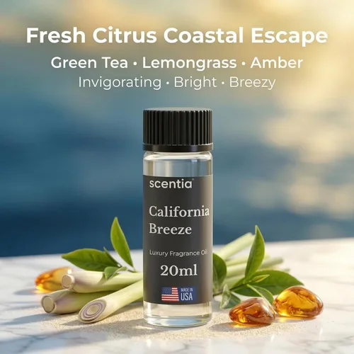 Vista 3 de Aceite Difusor de Hotel Scentia Inspirado en el Aroma del Hotel Delano Beach Club - 20 mL 0.67 fl oz - Mezcla de Aceites Esenciales Naranja, Té