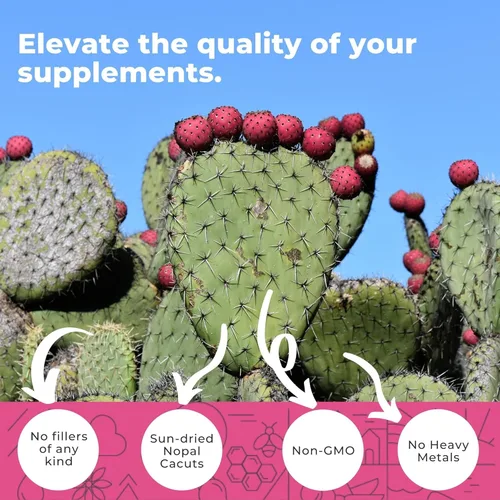 Vista 3 de Paquete de bergamota cítrica y cactus nopalo, 180 cápsulas de bergamota cítrica, 240 cápsulas de cactus nopal, 1500 mg de cactus tuno secado al sol