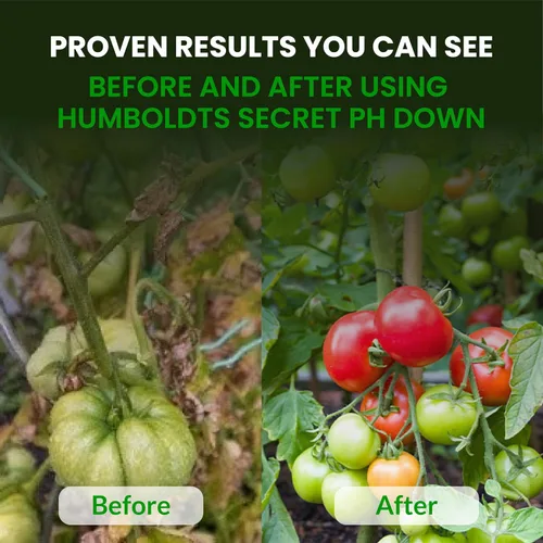 Vista 6 de Humboldts Secret pH Down para Plantas Ajustador y Equilibrador de pH Líquido para Suelo, Coco, Hidroponía Solución Concentrada de Ácido