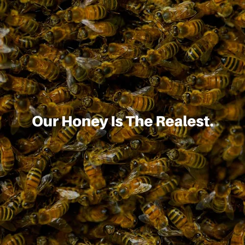 Vista 7 de Tintura de cuentagotas de extracto líquido de propóleo de abeja natural - 1 onza líquida