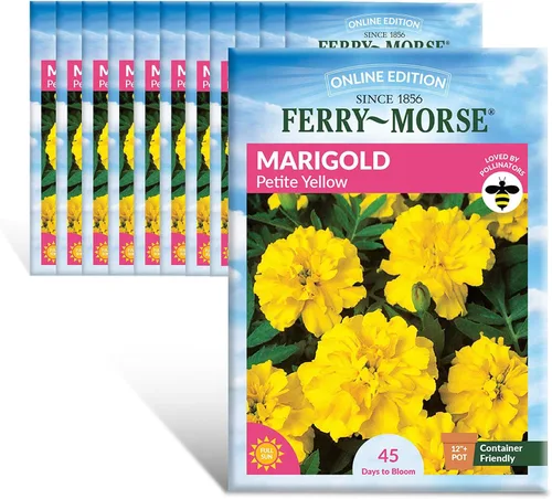 Vista 28 de Ferry-Morse Edición Online Bean Blue Lake Bush 274 Semillas Orgánicas Multipack – Paquete de 8
