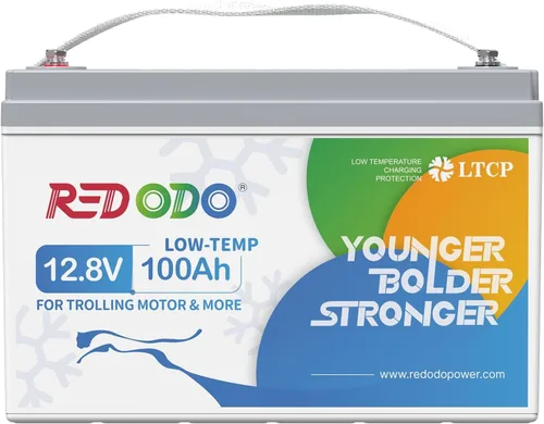 Vista 9 de Redodo Batería de litio LiFePO4 de 12V 20Ah, batería de arranque de 800CCA, batería marina del grupo U1 con BMS incorporado, batería de litio
