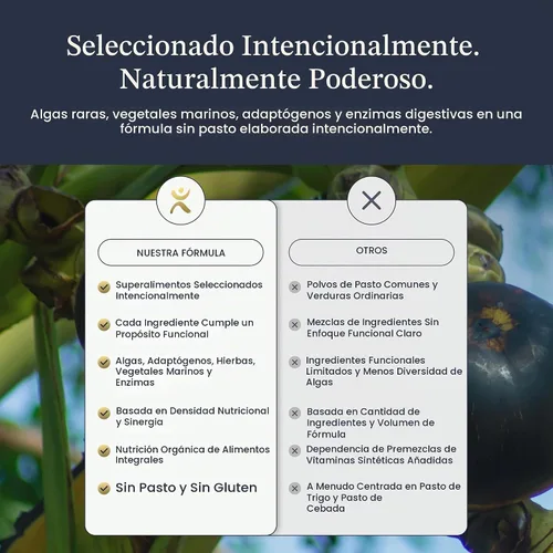 Vista 11 de Infinity Wellness True Greens - Tarro en polvo de jugo verde a base de algas azules con 28 superalimentos orgánicos, sin rellenos ni pastos, energía