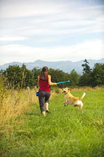 Vista 7 de Chuckit! Pelotas para perros silbantes, brillantes y rebotantes (2.5 pulgadas) para perros medianos