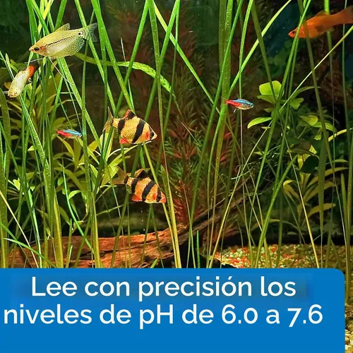 Vista 7 de API Kit de prueba de pH para acuario de agua dulce de 250 pruebas, juego de 4 piezas