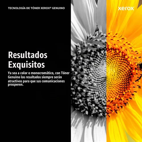 Vista 5 de Xerox Tóner negro de alto rendimiento B410/B415