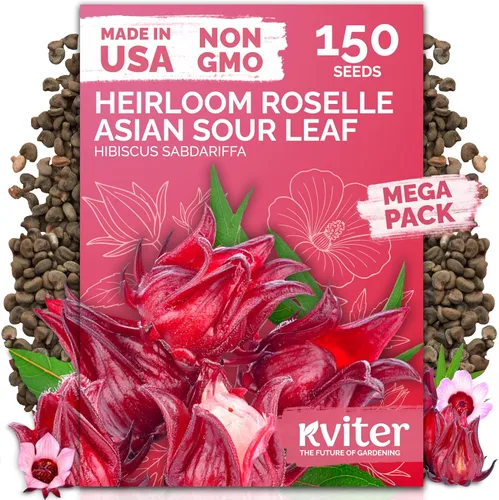 Vista 46 de KVITER 3000 semillas de espinaca egipcias - Molokhia (Corchorus Olitorius) - Hojas de yute, Ewedu, Día de Rau, Semillas de vegetales Saluyot