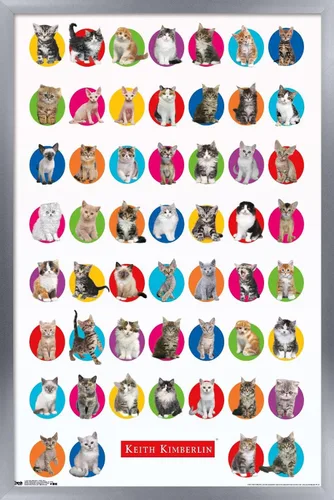 Vista 9 de Trends International Keith Kimberlin - Póster de pared de cuadrícula de gatito, 14.725 x 22.375 pulgadas, versión enmarcada de madera de granero