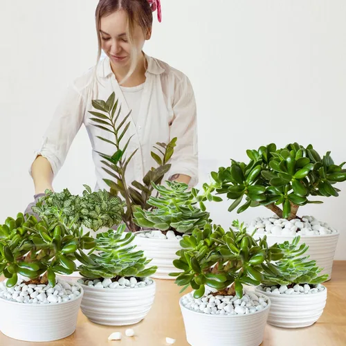 Vista 7 de Doter Perlita gruesa orgánica para plantas (0.4 a 0.8 pulgadas de diámetro), mezcla de acondicionador de aditivo natural para suelos