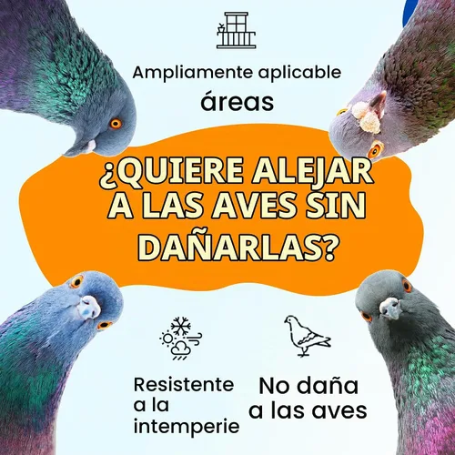 Vista 5 de Sistema disuasorio de pájaros, policarbonato resistente a los rayos UV, a prueba de palomas sin crueldad, de larga duración, adecuado para balcones
