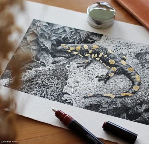 Vista 7 de Rotring Isograph Plumas para dibujo técnico. Juego de 3 unidades, Marrón