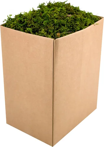 Vista 15 de SuperMoss (25320) Musgo de bosque preservado, fresco y verde, 2 oz