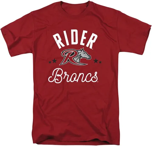 Vista 179 de Collegiate Distressed Mascot Unisex Adult T Shirt Collection 3 Universidad de Adelphi