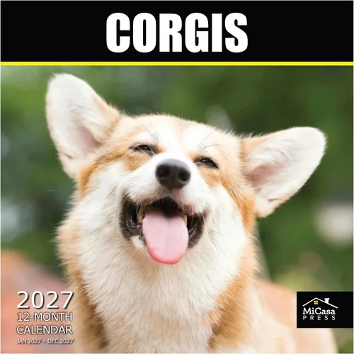 Vista 32 de MICASA PRESS Calendario de pared de Australian Shepherds Aussies 2027 02 - Pastores australianos