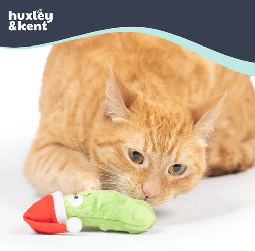 Vista 3 de Huxley & Kent Juguete de peluche para gatos, juguete interactivo de hierba gatera para gatos y gatitos, suave con arrugas y hierba gatera, divertido