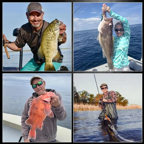 Vista 7 de FishTrip Ganchos circulares en línea para agua salada, 25 anzuelos de pesca para agua salada y agua dulce, anzuelo vivo sin compensación para bagre
