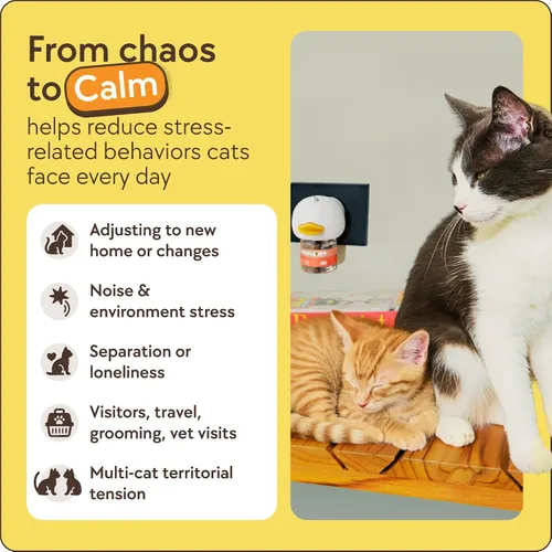 Vista 4 de TherapetMD Difusor calmante para gatos de 60 días - Difusor de feromonas para gatos para estrés, pulverización de orina, lucha contra gatos