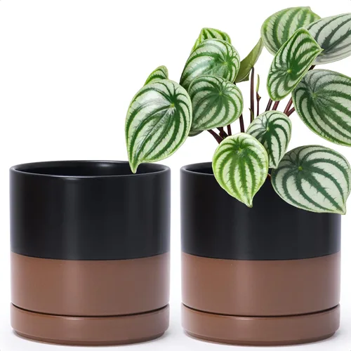 Vista 9 de D'vine Dev - Juego de 2 macetas de plantas de 3.5 pulgadas, maceta de cerámica para plantas con agujero de drenaje y platillo, negra, 94-V-A-2
