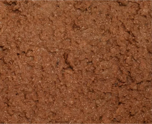 Vista 3 de Wysong Comida enlatada de salmón para perros y gatos Epigen™