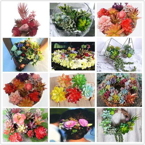 Vista 6 de Zhiheng Plantas suculentas artificiales surtidas (mutil)