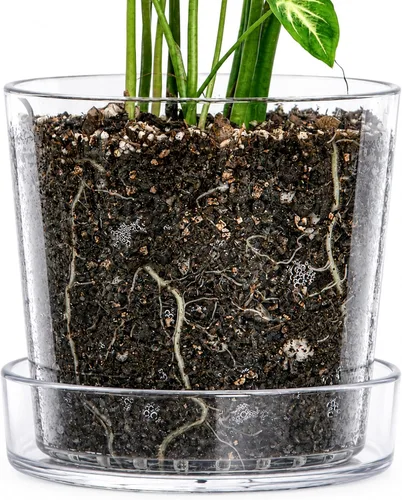 Vista 8 de Maceta Phoenix Vine de 3.5 pulgadas de acrílico transparente con bandeja, maceta para orquídeas con agujeros de drenaje, platillo profundo