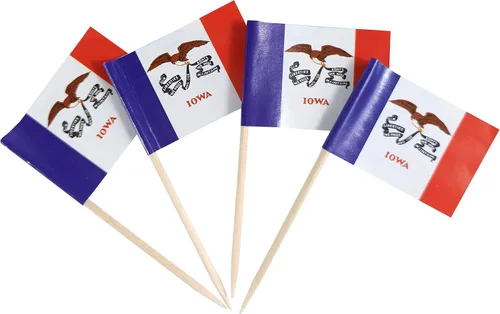 Vista 34 de QQSD Bandera de palillo de dientes de Alabama para decoración de cupcakes, 100