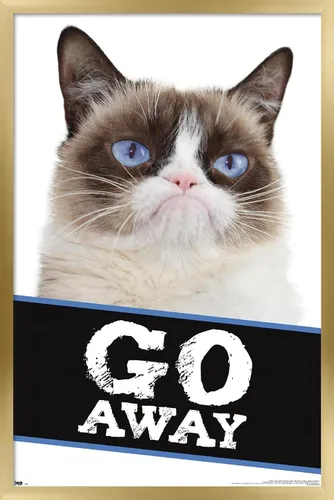 Vista 13 de Trends International Grumpy Cat - Póster de pared con texto en inglés «Go Away», 14.725 x 22.375 pulgadas, versión enmarcada de madera de granero