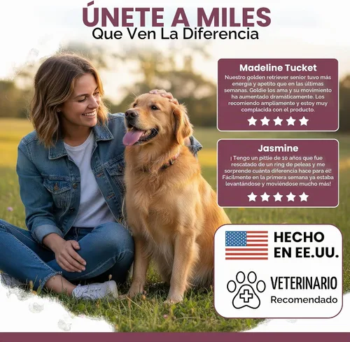Vista 4 de CHEW and HEAL Senior 12-en-1 Advanced Multivitamina Soft Chews Suplemento para perros mayores, Soporte de cadera y articulaciones, fórmula