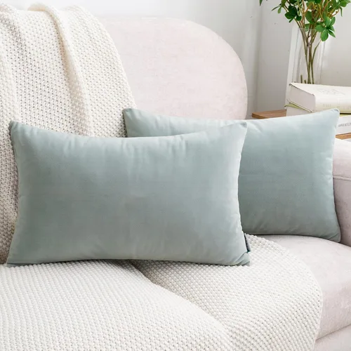 Vista 65 de HWY 50 fundas de almohada decorativas de terciopelo sólido para sofá, sala de estar., Terciopelo, gris, 20x20 pulgadas