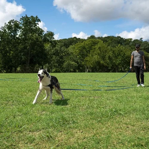 Vista 6 de Hi Kiss Correa de Entrenamiento de Obediencia y Agilidad para Perros/Cachorros - 15 pies 20 pies 30 pies 50 pies 100 pies - Ideal para Jugar