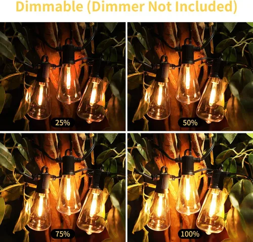 Vista 2 de ZOTOYI Guirnalda de luces para exteriores, luces de bistró de 25 pies con 13 bombillas LED ST38 inastillables, tira de luces conectables