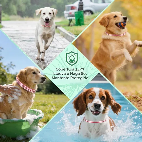 Vista 7 de Prevención de pulgas y garrapatas para perros, 4 collares antipulgas, 32