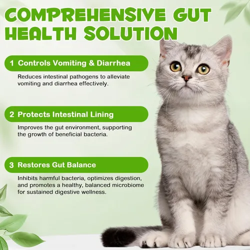 Vista 5 de Probióticos para gatos líquidos, probióticos para gatos, suplemento de probióticos 3 en 1 para gatos con enzimas prebióticas y digestivas Apoya
