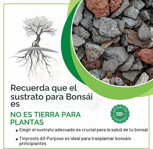 Vista 4 de Tinyroots Bonsai Soil Plus un paquete de tres macetas de entrenamiento para bonsái de seis pulgadas