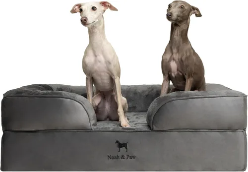 Vista 47 de NOAH & PAW Cama para perros pequeños, 20 x 15 x 8 pulgadas, cama para gatos de interior, espuma viscoelástica ortopédica de cáscara de huevo