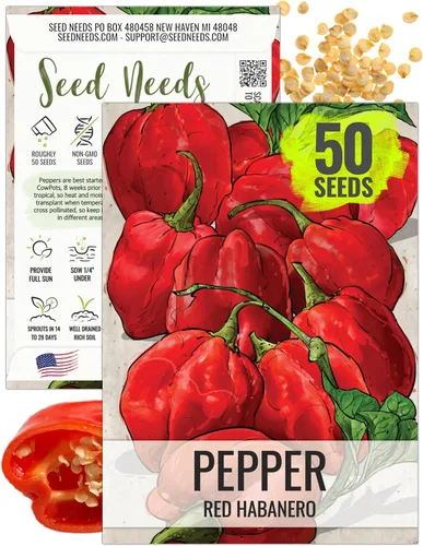 Vista 80 de Seed Needs - Semillas de pimiento arcoíris para plantar verduras, 1 paquete