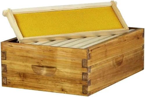 Vista 5 de Hoover Hives Caja mediana de 10 marcos, totalmente montada, recubierta de cera, se adapta a las colmenas de abeja de miel Langstroth