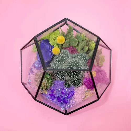Vista 6 de WGV - Maceta geométrica colgante de terrario de 5.5 pulgadas de ancho y 6 pulgadas de alto, marco negro de cristal transparente, marco negro, planta