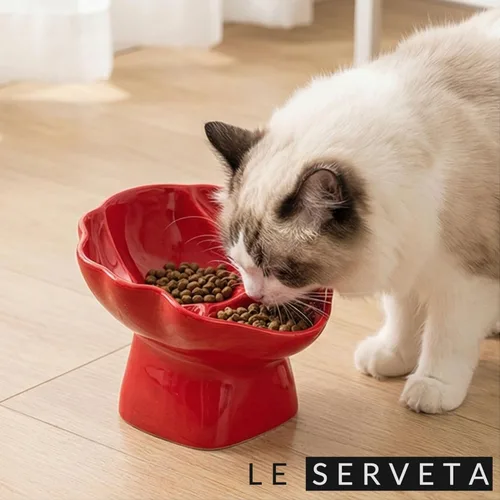 Vista 6 de Cuenco elevado de cerámica para mascotas, comedero lento elevado para gatos y perros, diseño decorativo para perritos de pie, base antideslizante